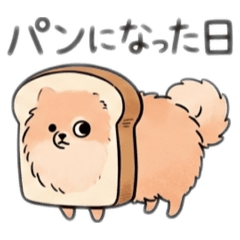 Surreal Pomeranian: Daily Life