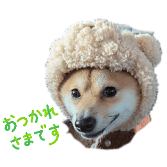 chirol_20260416184000