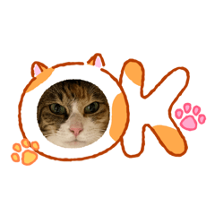 kantatoda_20260416195132