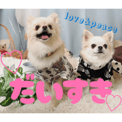 yuttan you_20260416194953