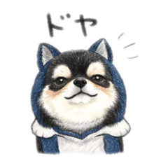 kouchan_20260416195551