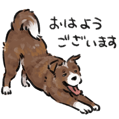Dog? Dog! Dogs!! Polite greetings
