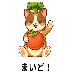 Broccoli Cat's Kansai Dialect