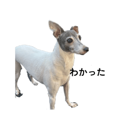 AAAAA_20260416232144