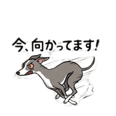 L.ovedog_20260416235809