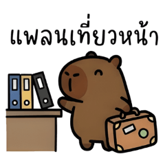 Capybara is back to work