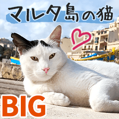 Malta Cats - Everyday Stickers