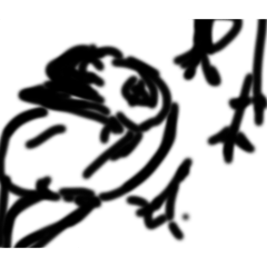 mitinomeya_20260413150513