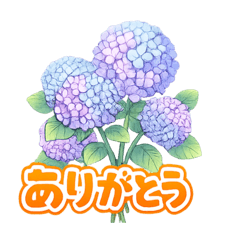 Infinity.909_20260416222232