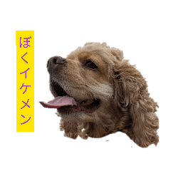 inutowarau_20260416220630