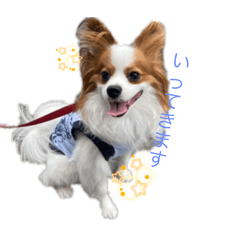 Ayumi_20260416222824