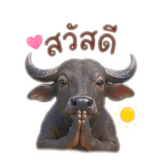 Sunny_20260416215857