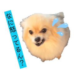 karaage_20260417004553