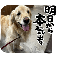 DEKAO_20260417005129