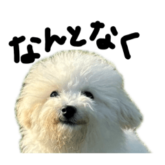 tenkun_20260417010709