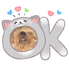 paotaitai_20260417104128