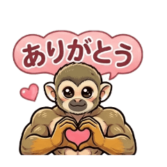 A squirrel monkey training daily.