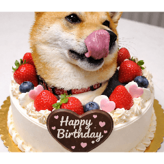 ayumi_20260417103812