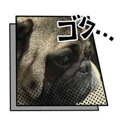 chie_20260417104418