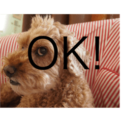 Samurai&RinringChiyo