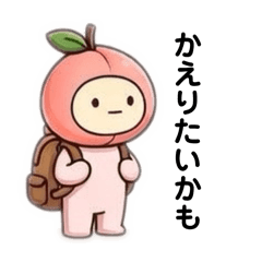 momotaro_20260416143002