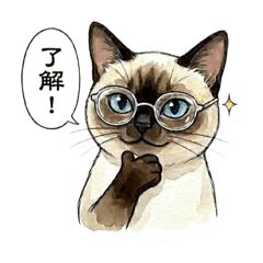 nekomitsu_20260416143618