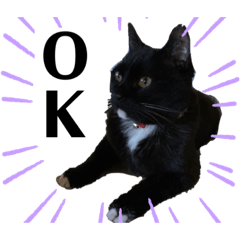 yui_ke_20260416204042