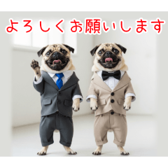 PAKAMOGOLY_20260416204228