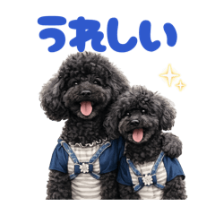 DOG STAMP ORDER_20260416215829