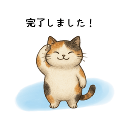 Ms. calm calico cat