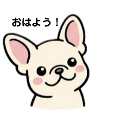 shoyu_20260416215124