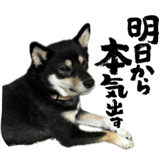 Rin by Yayoi_20260417114002