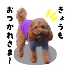 Kancha_20260417114229