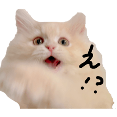 haruka_20260417115134