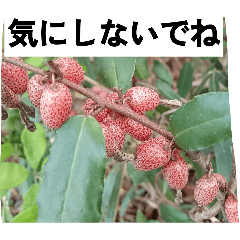 agri_20260413184412