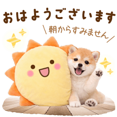 teinei keigo shibainu