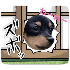 yo.tuzuri_20260417075043