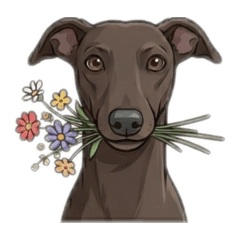 Lapisy_20260417004445