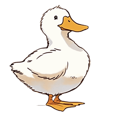 A relaxed everyday life of a duck