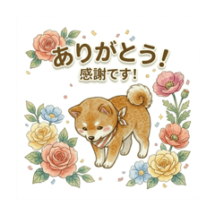 avieanca_20260417081913