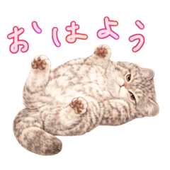 junco_20260417085704