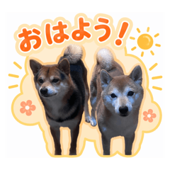 matsu_20260417092014