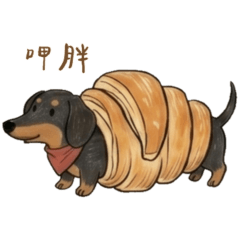 Healing Black Doxie Daily Life