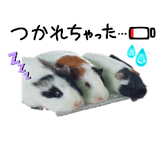 SHITAFUSA_20260416200902