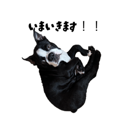 kotaro chan_20260416203755