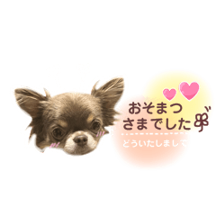 Emily_20260416203312