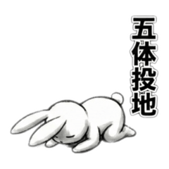 tsubaki_20260416203807