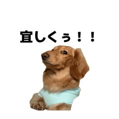 mtss7000_20260416204053