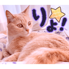 Mochioba_20260417154219