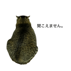 mamama_20260416232950